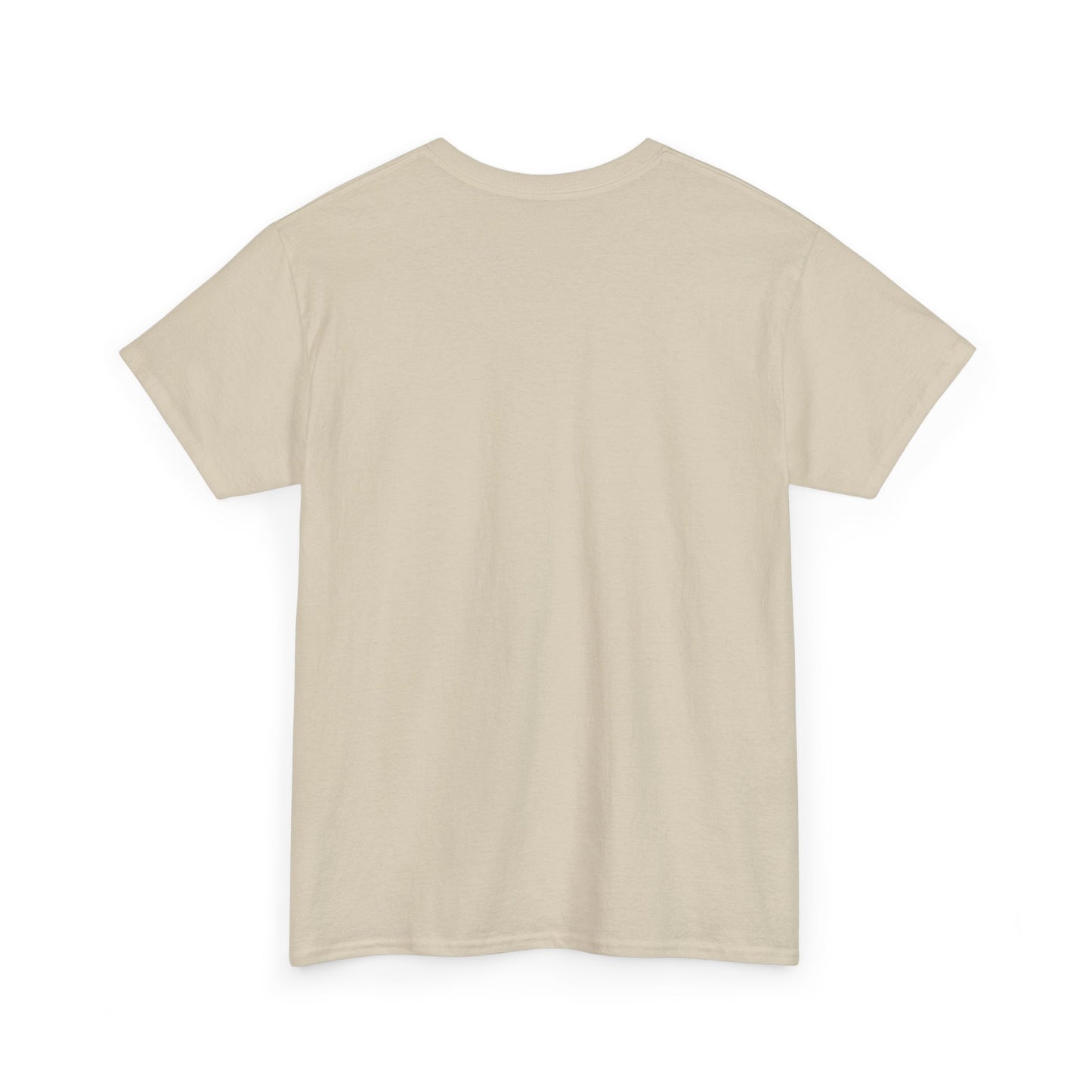 Our Eagle unisex t-shirt